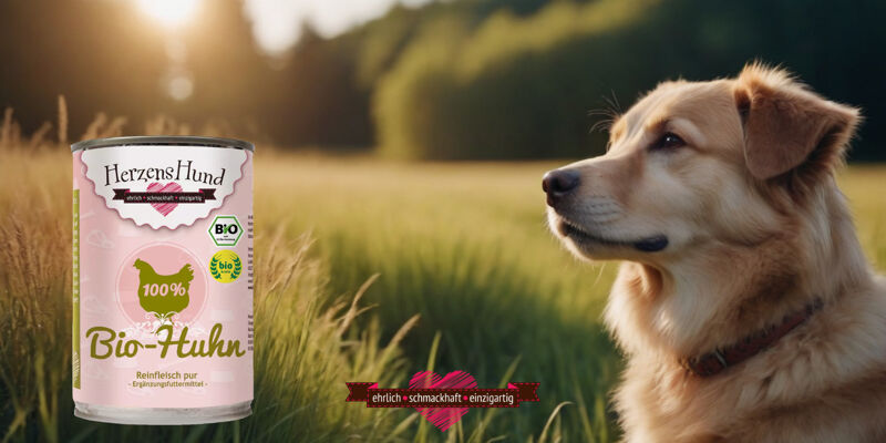 Grafik - Vorteile von Monoprotein-Hundefutter
